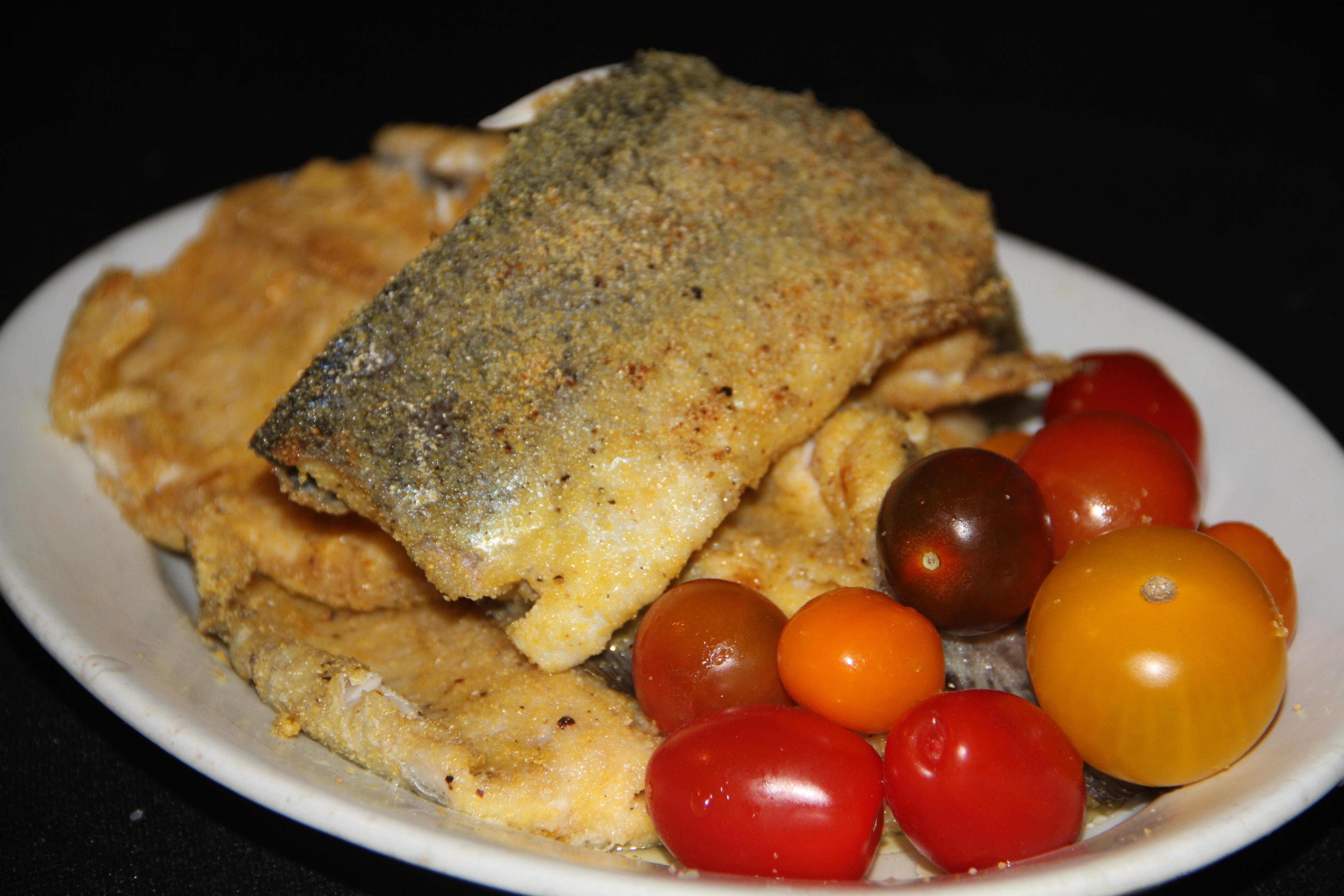 Pan-fried Trout-Fish-Fishing-"The General Must Die"-"War Hero"-"The Runt"-"Trapped"